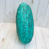 Picky Pumice Fully Covered Picking stone Caribbean Blue Kit